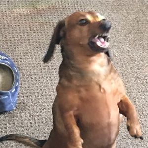 Meet your Posher, Cheryl